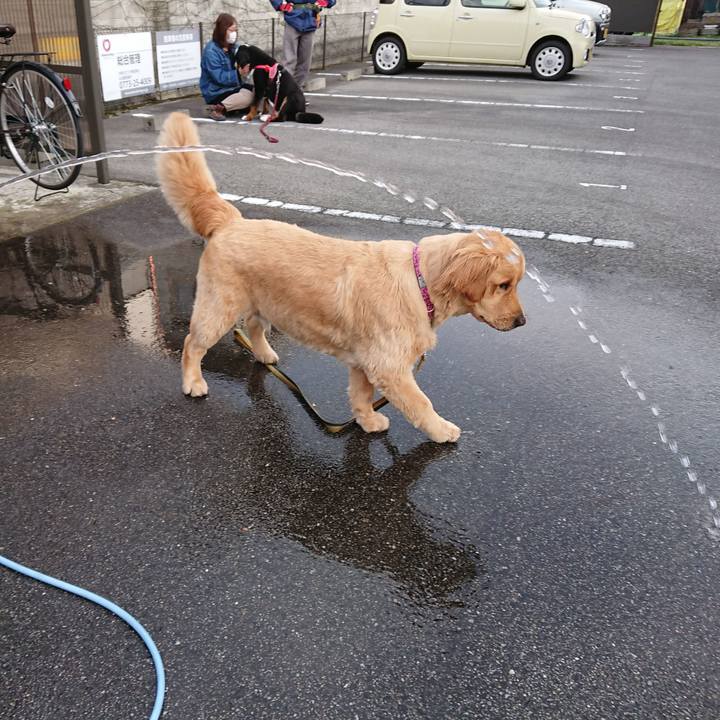 83c523de b365 4af4 8f0f 81e78f1f34e6 1522575455255