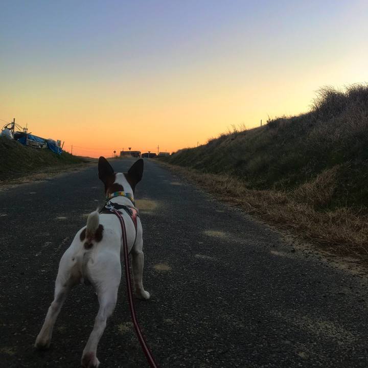 83c54901 9e83 474a b7af 5a760030a05e 1513848818144