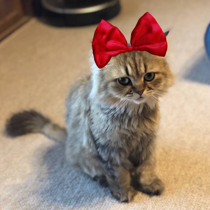 83c55229 dfb5 496b bc4d b4c75e76ce32 1564101797801