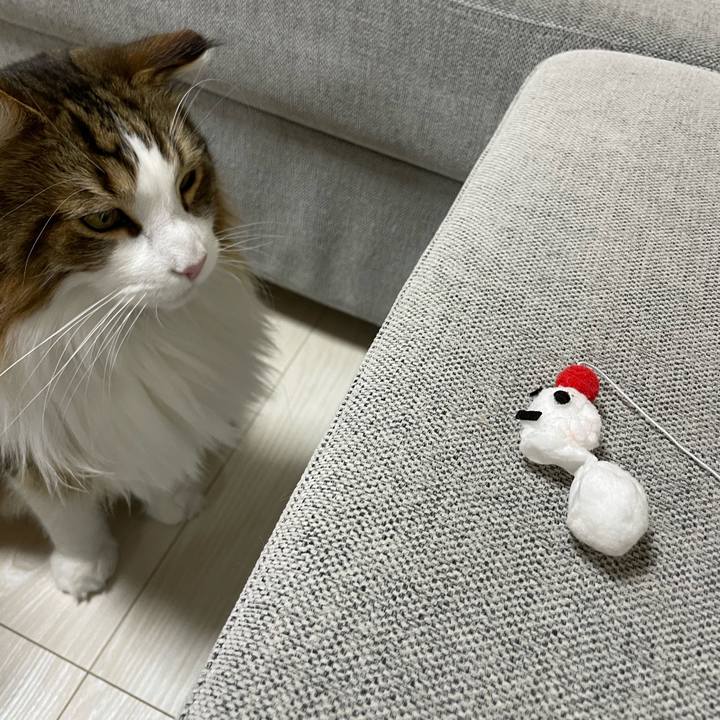 83c55b63 6042 428b 9a47 985352a117f8 1671449436037