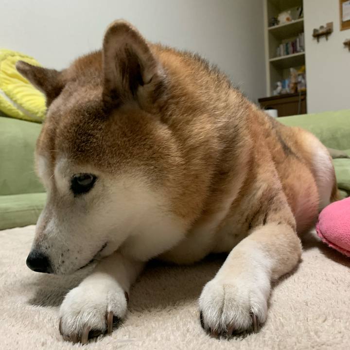 83c5aaa2 1bbf 409e b878 71b3c3c0b21f 1588947455176