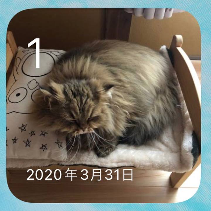 83c5aefa f66a 45ec a11c bc6c23b1083b 1648821953626