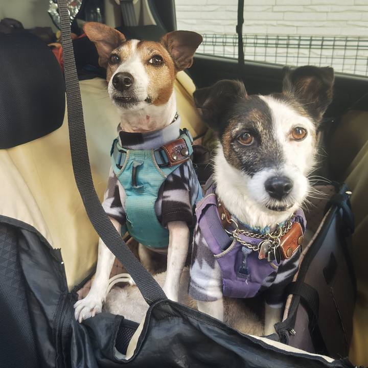 83c5d12e 8a38 478c 9c94 f1d89a9b54f0 1765775975272