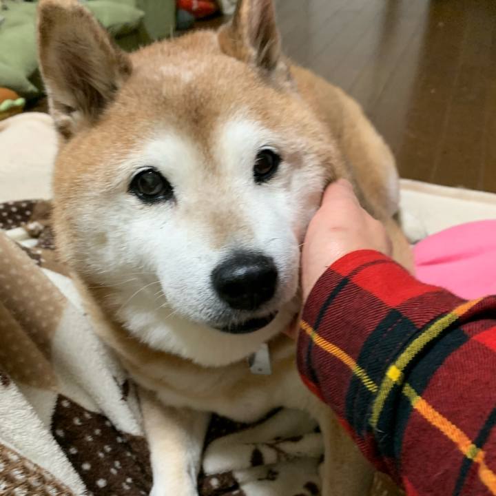 83c60ecb 217a 40de 8745 006fa04717c3 1578568146698