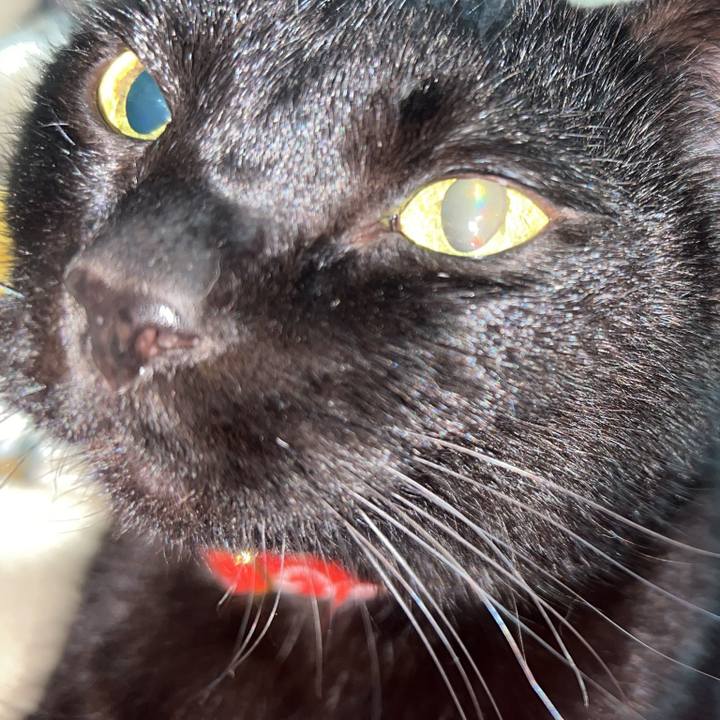 83c61308 8581 4166 9612 7217d708d5bb 1766612473000