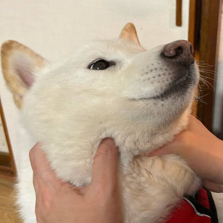 83c64168 1ee2 4445 bbe1 702f7d0e88f5 1708852781812