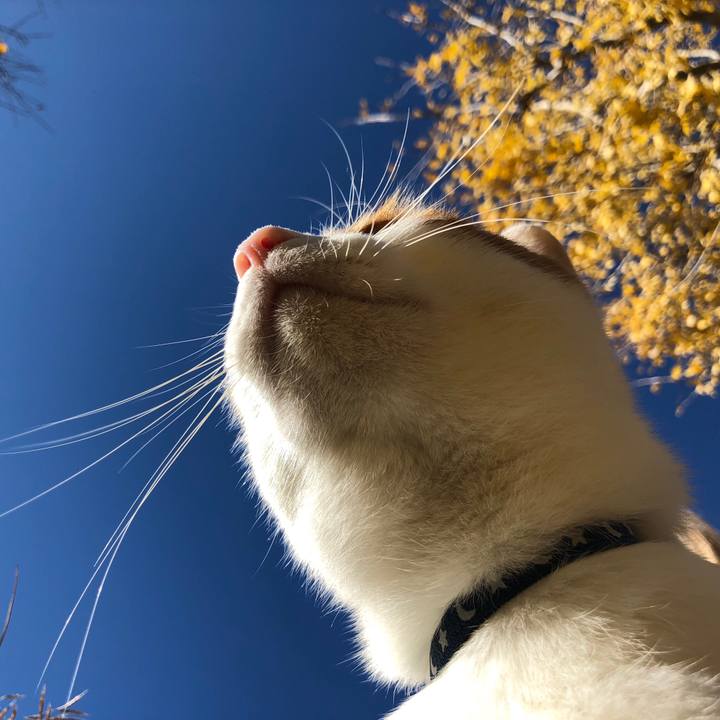 83c6bc61 9ad7 4d1e a2ac b7cb5842861b 1542157481184