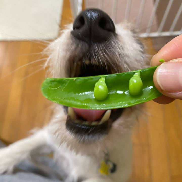 83c6c2c2 297b 4b2d 9187 b56546a96238 1771072913573