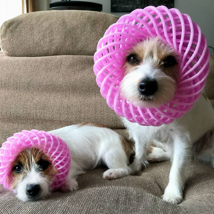 83c6d34b 8485 48a6 b47a 0fdb0ce53b7e 1758280307288