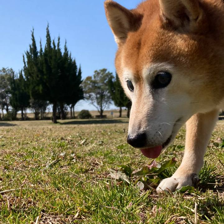 83c6f298 0559 4e1a 9e60 c0b98f27035c 1710141709070