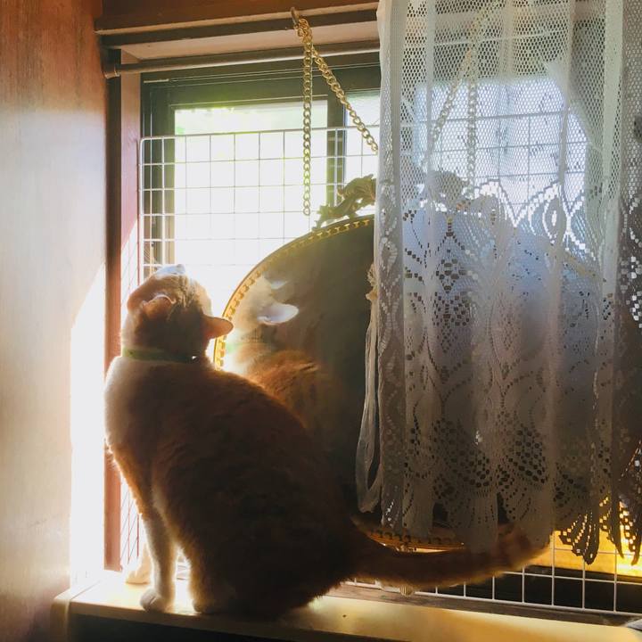 83c71bd0 ef1b 4820 bead c95c0e315a9b 1558824398203