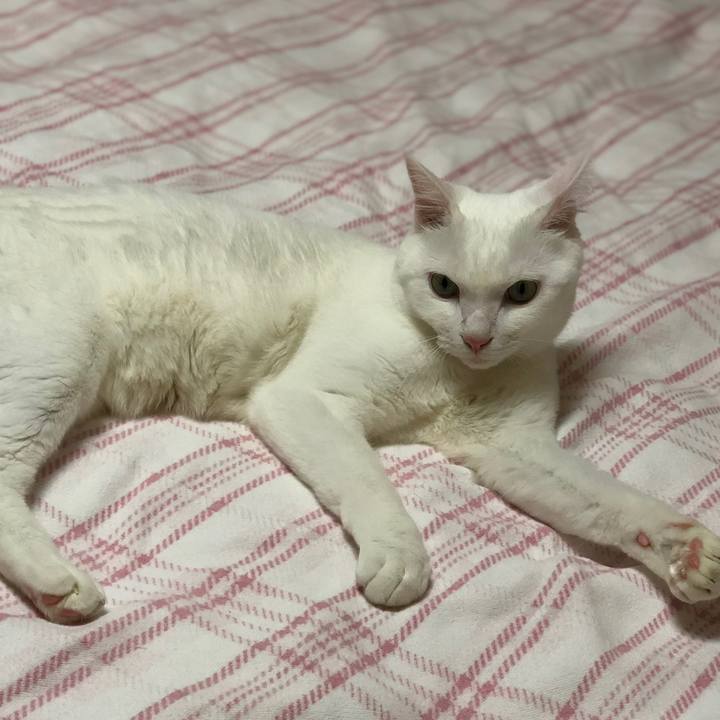 83c7ebfd 73c6 44f2 9710 8988f2d3276a 1533709617067