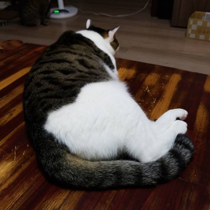 83c7f101 f4c4 4b03 ba23 98e3827df91d 1560766614318