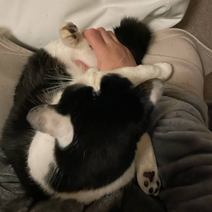 83c834fa bd28 43cf acdd 4acbdd023c36 1712406274697