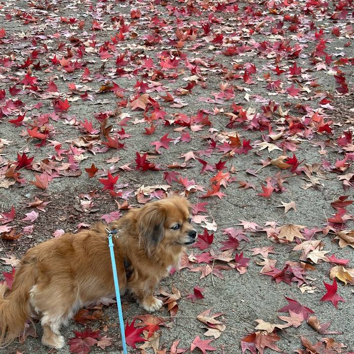 83c83b48 19bc 4218 b5c9 ac98f61d1272 1731804977713