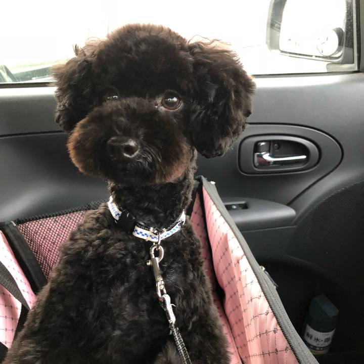 83c83d66 60f5 4608 8342 1bd850b7ba00 1512016028181