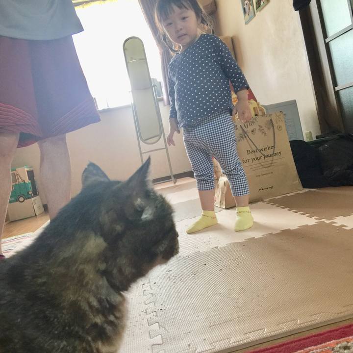 83c84b58 70c4 4484 b17e 3da6e923e9bd 1567343222836