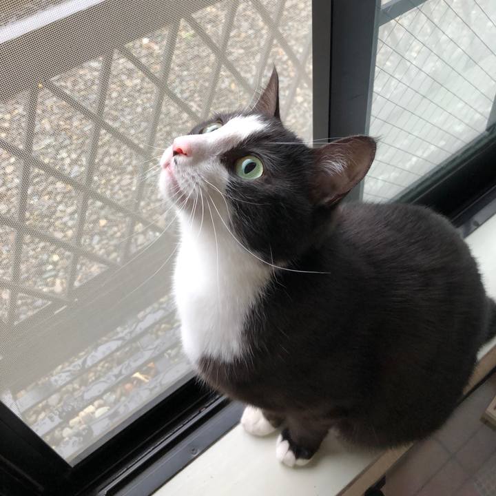 83c8631a 9d5e 4815 bf8f 1659045ed16c 1521609259585