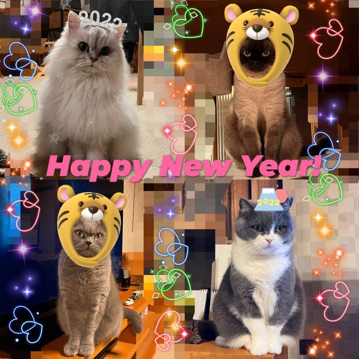 83c8721f 630c 45ff 8869 4c3082e2c911 1640993724796