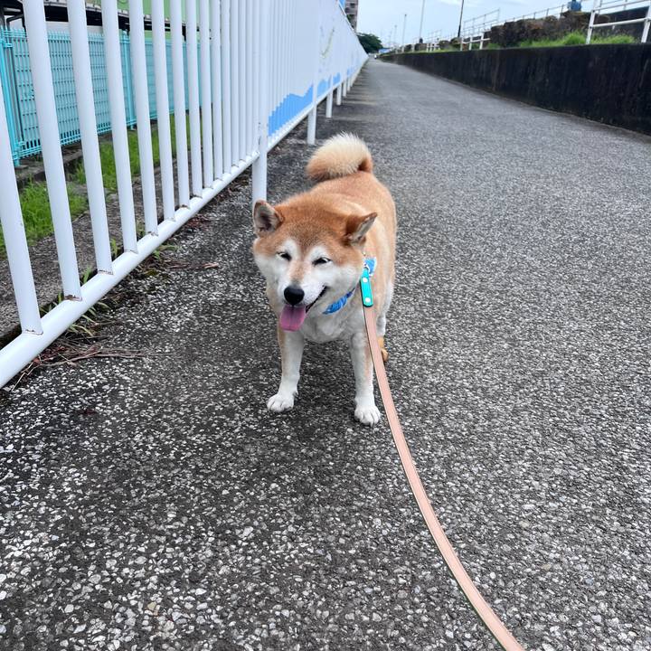 83c8788d 560f 4049 a68e 87fcf23e67be 1719722479746