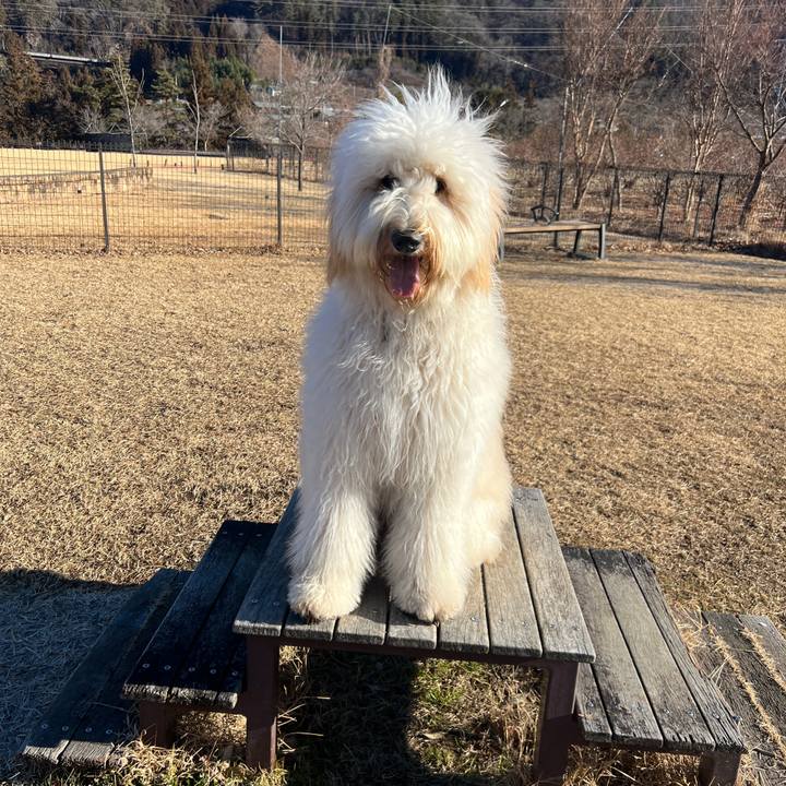 83c8a93b d063 4c84 bb5c e125c5bbe547 1737883167215