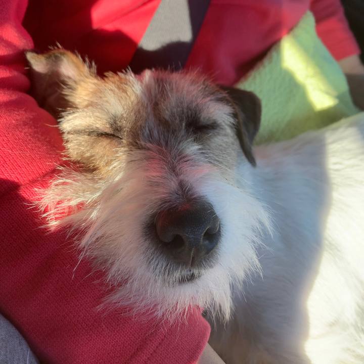 83c8ce71 629d 47f5 b6e5 7ff98ed80fe3 1578053098584