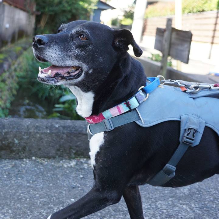 83c8dc35 a447 4a7f b36a c51717ba831f 1761611344150