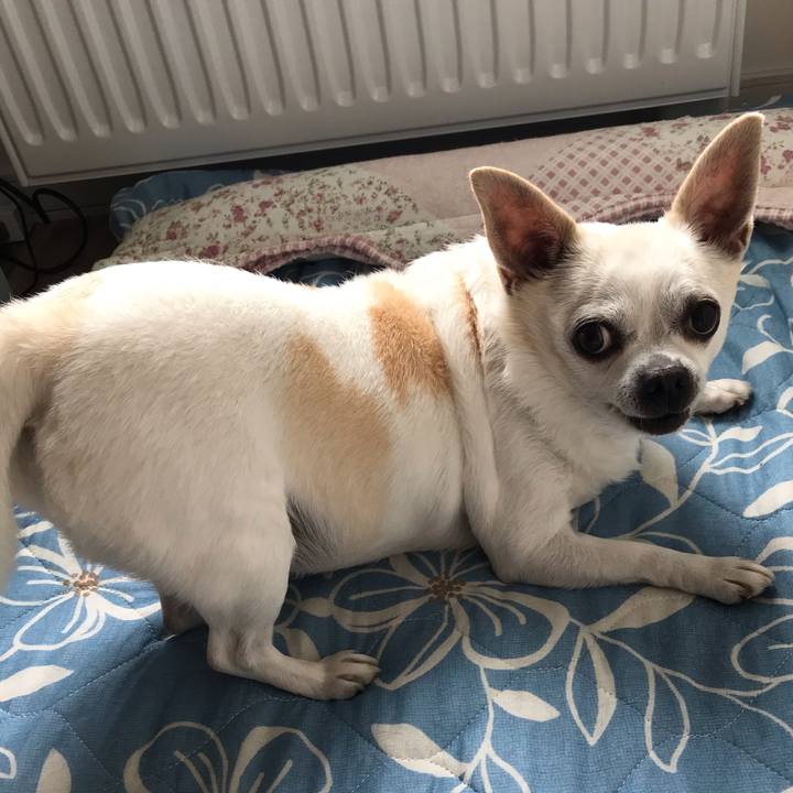 83c8f30f f7f1 4432 9cf8 0d587a28143a 1602421683982