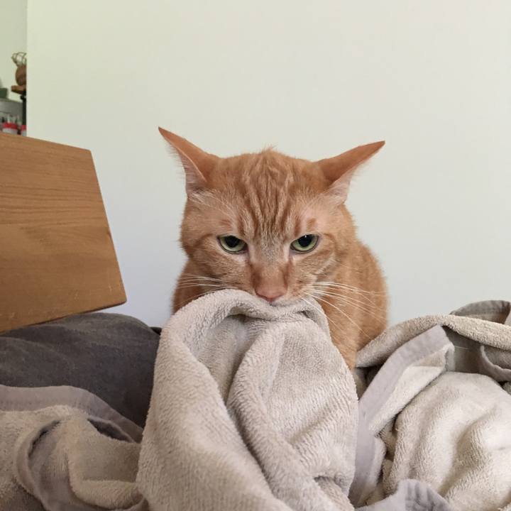 83c8fc7f c9ea 4166 8977 e9c0deef2c68 1566013741281