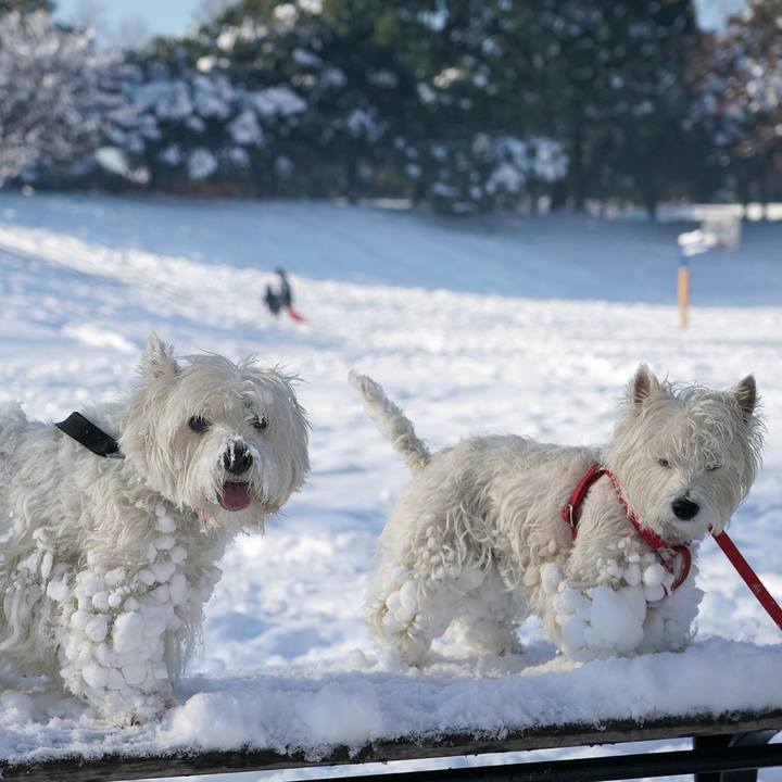 83c9196f 9762 4157 adc6 ad5dc02830e0 1516677071464