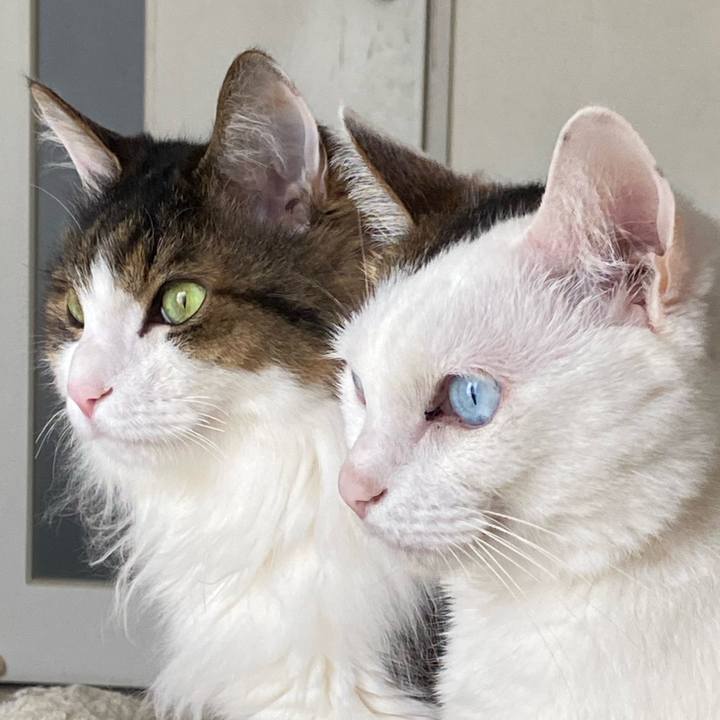 83c941c1 1576 4c15 b24a f106bc754f2c 1734480968315