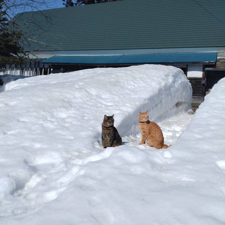 83c94424 2cec 4127 9b29 0ace6ec6ecb7 1771384196647