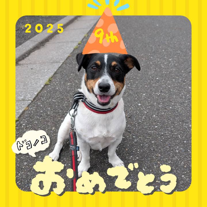 83c9448b 36d0 448d 91af 5a67c0910516 1749298949881