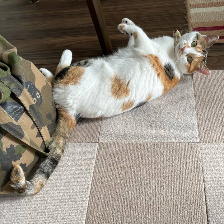 83c94b67 dd83 4b66 b1b1 4b1c5d2f6792 1650500428741