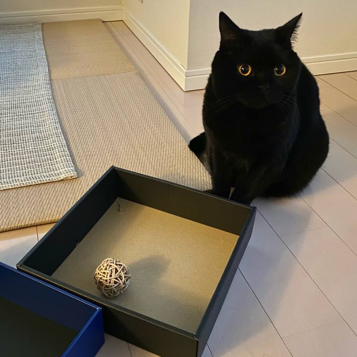 83c95282 6426 45b3 b801 ef172a5111b8 1647422369932