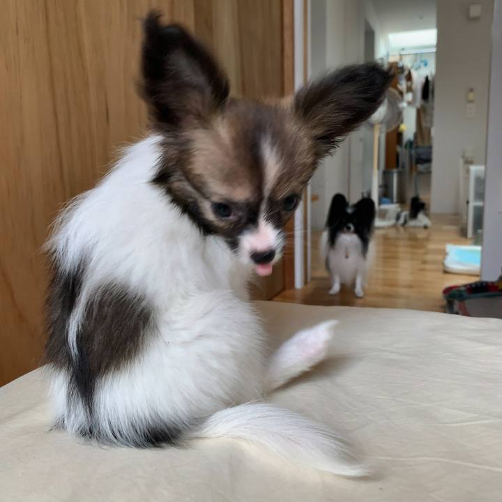 83c9777b cc07 4085 9e16 bc2ae0bc64d0 1694246270181