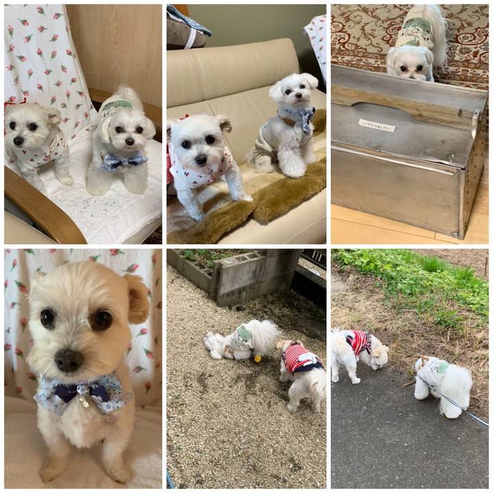 83c97a6b c8bb 4384 8278 e2a21df2bc0c 1603348505767