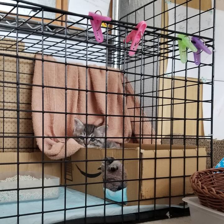 83c98be3 ec22 441d 8561 f908491b3afe 1660909901763