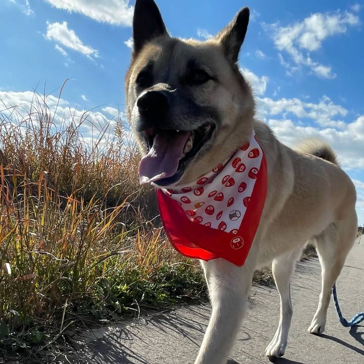 83c9a7e5 7041 4747 a5e5 b2bca7b49baf 1641039090047