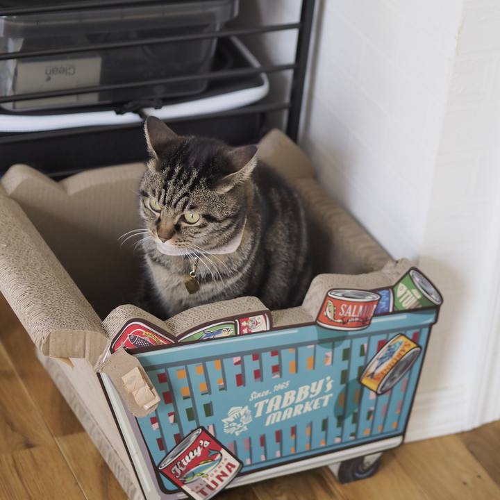 83c9ac5a 7ada 440f be5f a67acb6013d5 1707886223444