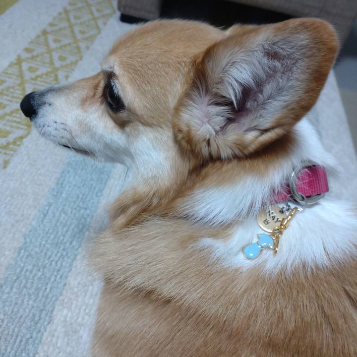 83c9da60 8b3a 4812 9384 565ecd4632b3 1673773445310