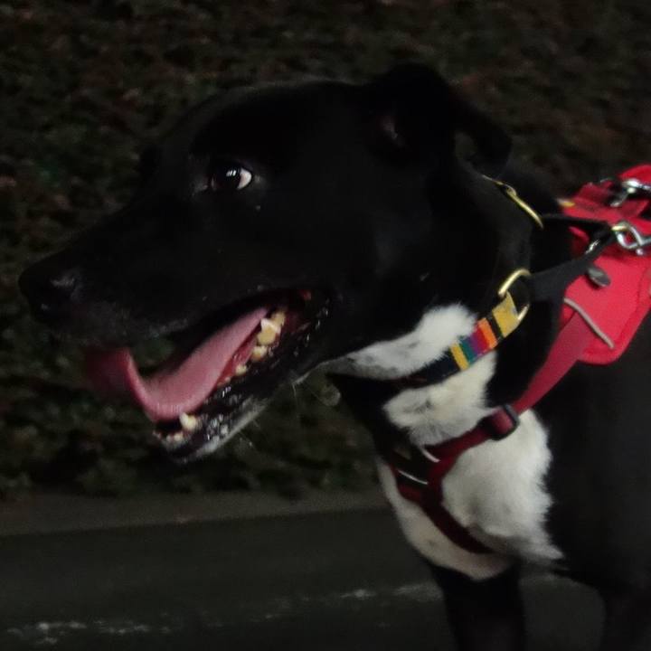 83c9e683 5a30 4a48 8446 01c4d98507ae 1599562498493