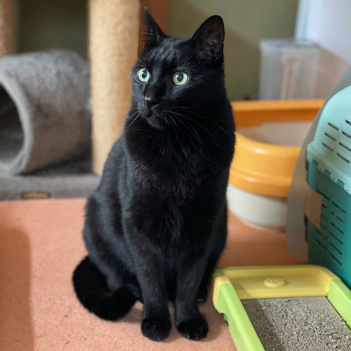 83ca4c65 9b56 4703 a117 fb3c38e41f07 1610581689287