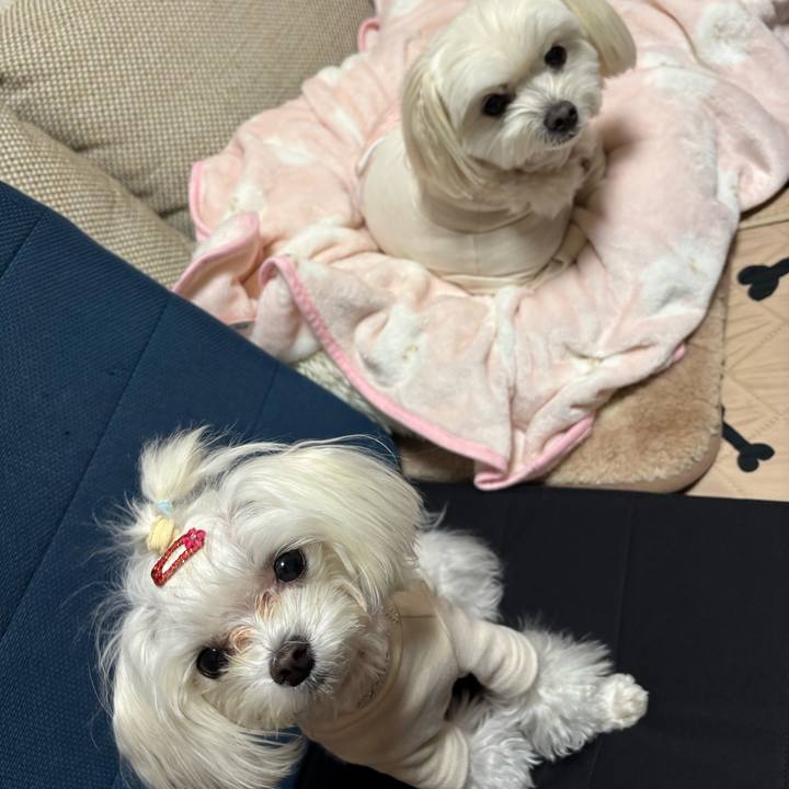 83ca7e83 261e 4c6e b5ff cdcc6d94c592 1736064770315