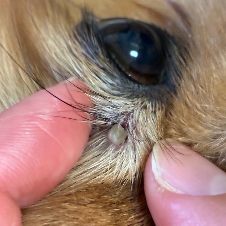 83ca8aec 45a3 495e bbc5 fbb4bc733c0f 1776032400013