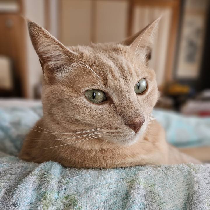 83cad54b 3109 4266 a04d ec30ff1aa372 1760854871472