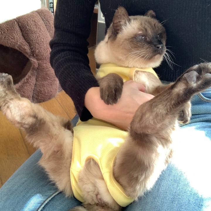 83cade81 41e8 49da ad1c eaba718b87a9 1674276506657