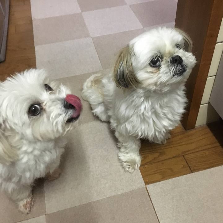 83cb0278 c034 4cd6 be87 b19d7bad5676 1520683329751