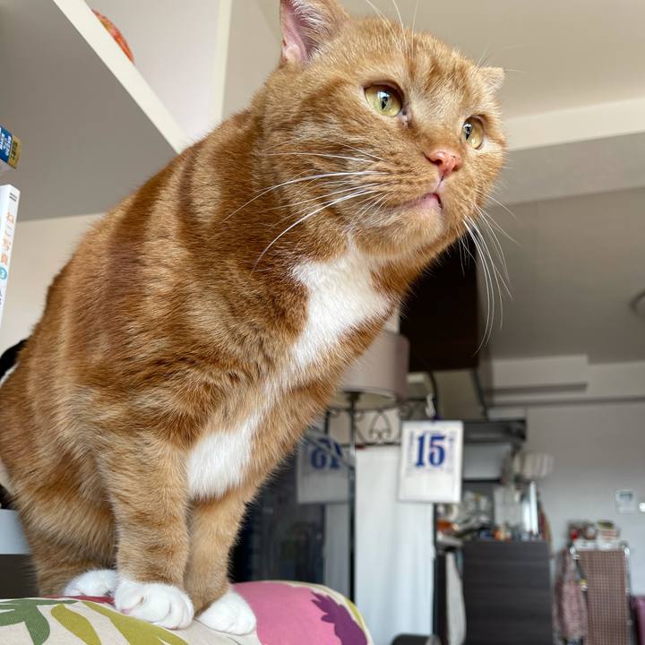 83cb047f fdfe 4de0 9ea5 c9e369dc949a 1642304044635