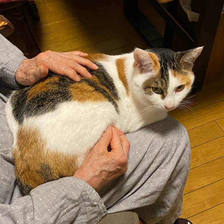 83cb13f7 d4a1 4bb3 808b e41e11457218 1759655741005